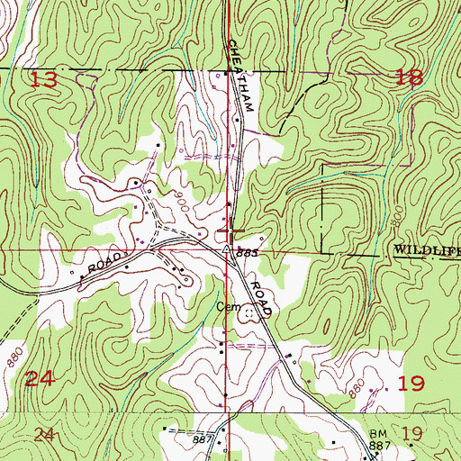 Topographic Map of Ellaville, AL