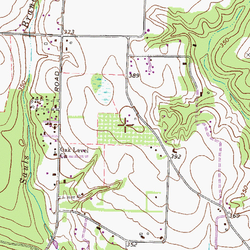 Topographic Map of Shady Grove, GA