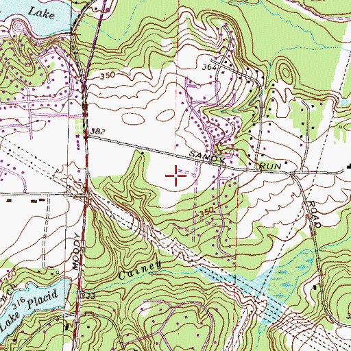Topographic Map of Windsor Forest, GA