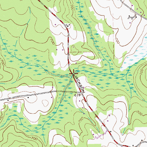 Topographic Map of Double Bridges, GA