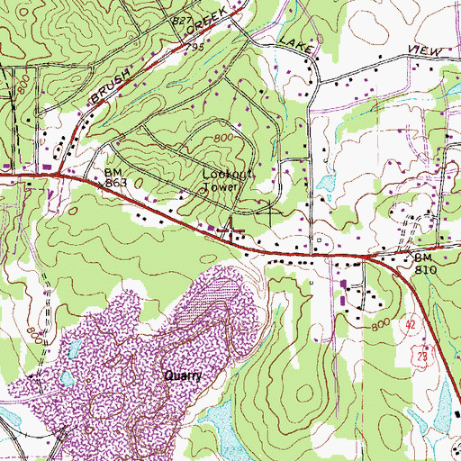 Topographic Map of Stockbridge Assembly Church, GA