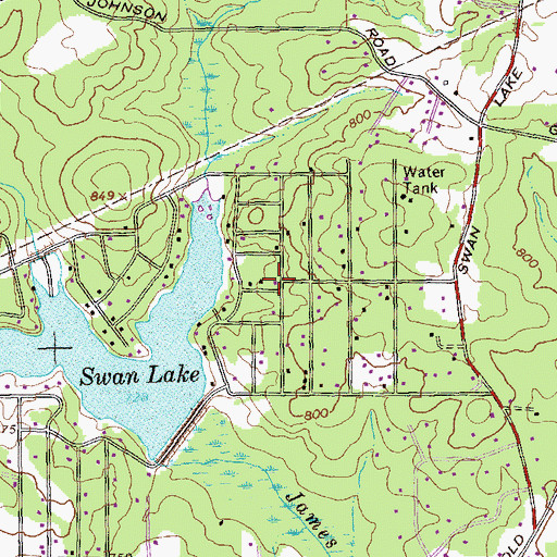 Topographic Map of Swan Lake, GA