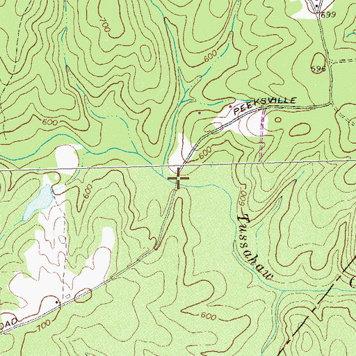 Topographic Map of Winns Bridge, GA