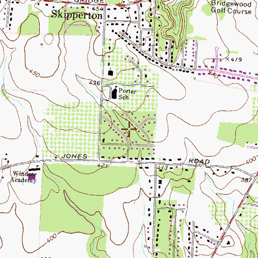 Topographic Map of Aultman Pines, GA
