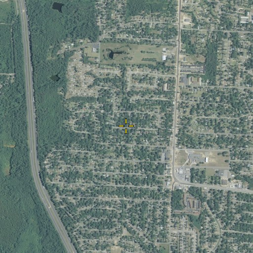 Aerial/Satellite Image of Bloomfield Estates, GA