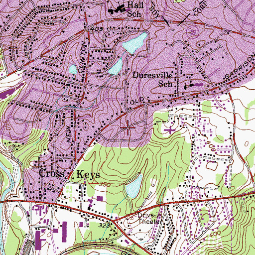Topographic Map of Bristol Forest, GA