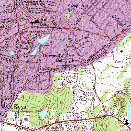 Topographic Map of Duresville, GA