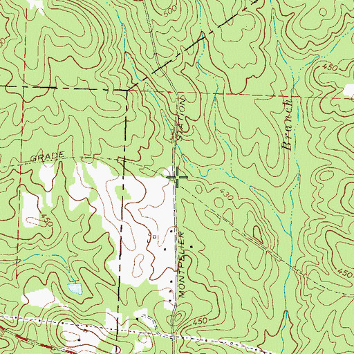 Topographic Map of Montpelier (historical), GA