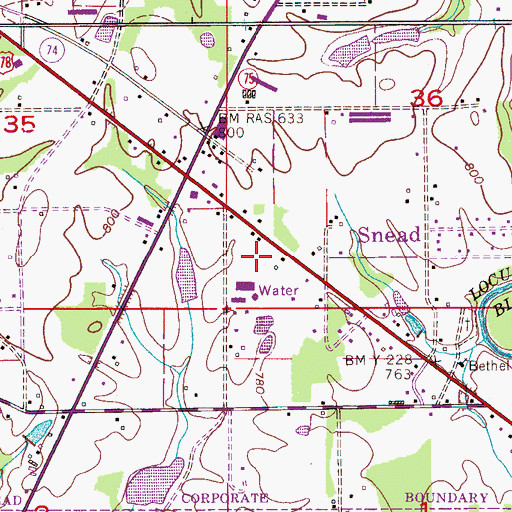 Topographic Map of Snead Post Office, AL