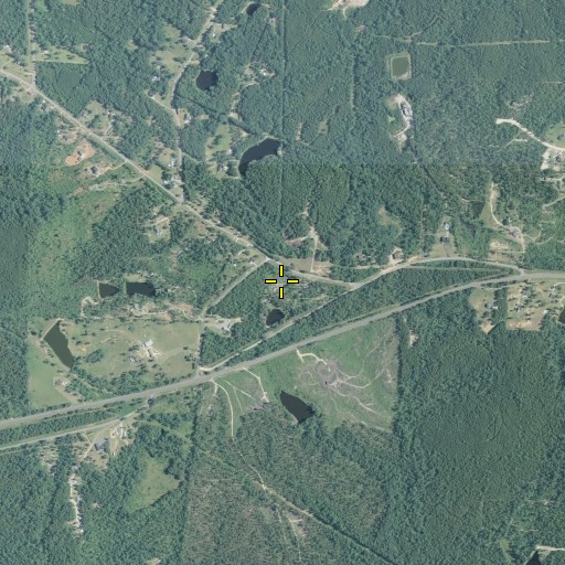 Aerial/Satellite Image of White Spring School (historical), GA