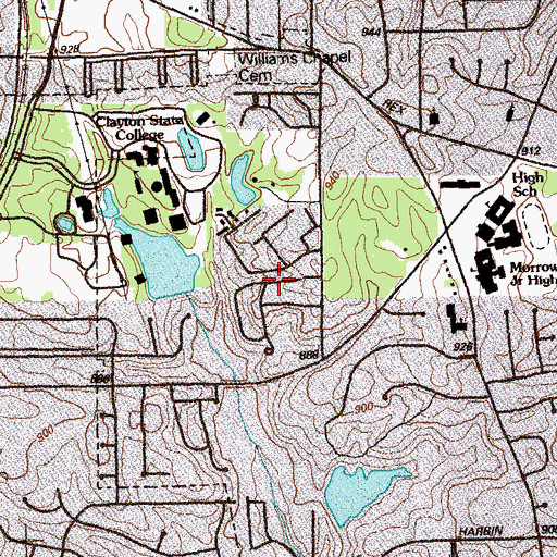 Topographic Map of Carol Woods, GA