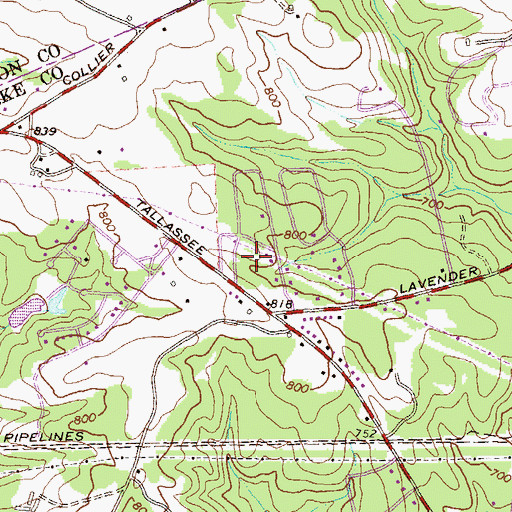 Topographic Map of Rushwood, GA