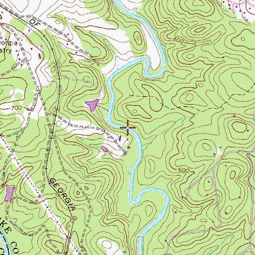 Topographic Map of White Dam, GA