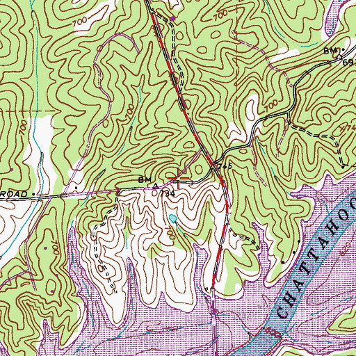 Topographic Map of Buena Vista, GA