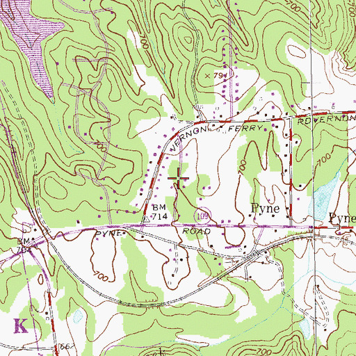 Topographic Map of Vernon Ferry Estates, GA