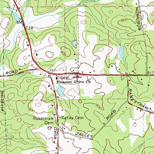 Topographic Map of Rosemont Church, GA