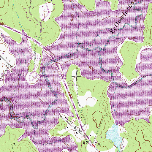 Topographic Map of Sunny Point, GA