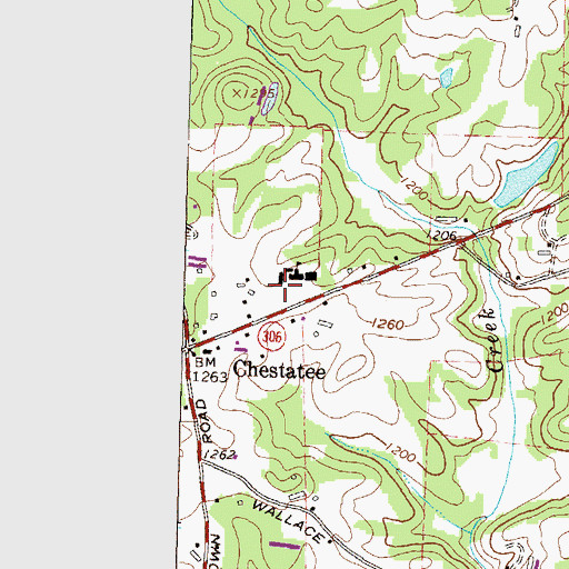Topographic Map of Chestatee Elementary School, GA