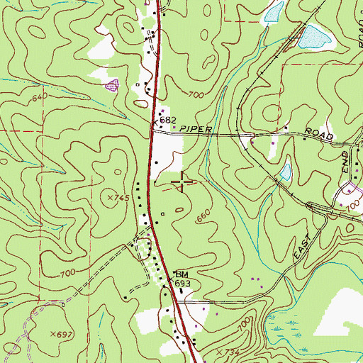 Topographic Map of Cedar Creek, GA