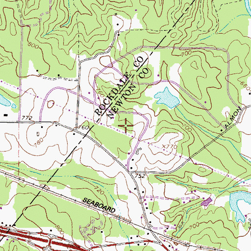 Topographic Map of Horseshoe Springs, GA