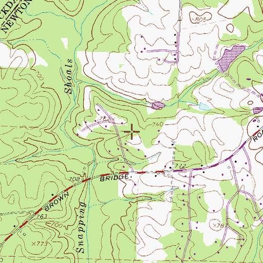 Topographic Map of Salem Branch, GA