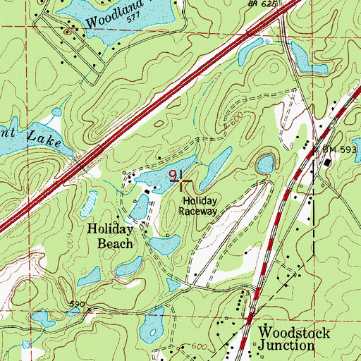 Topographic Map of Woodward Mine, AL