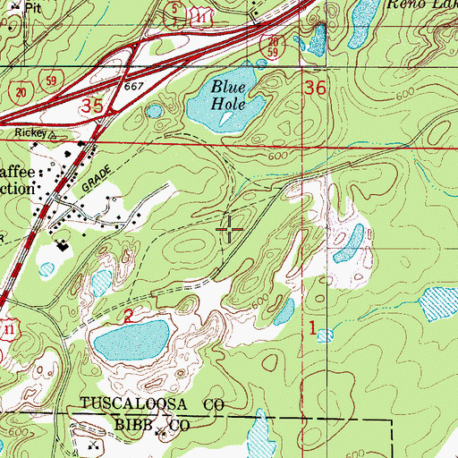 Topographic Map of Martaban Mine, AL