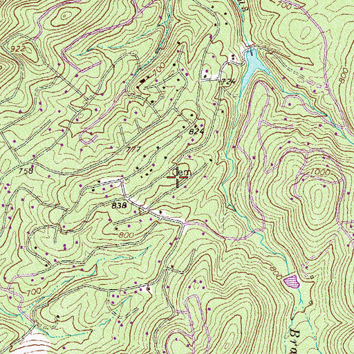 Topographic Map of Chapman Cemetery, VA