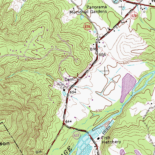 Topographic Map of Richardson Cemetery, VA