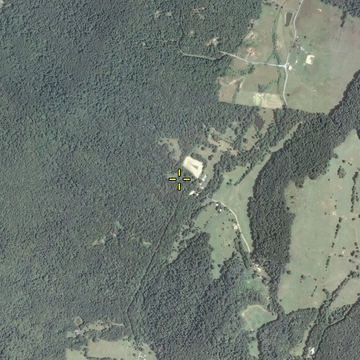 Aerial/Satellite Image of Sycamore Spring Farm, VA