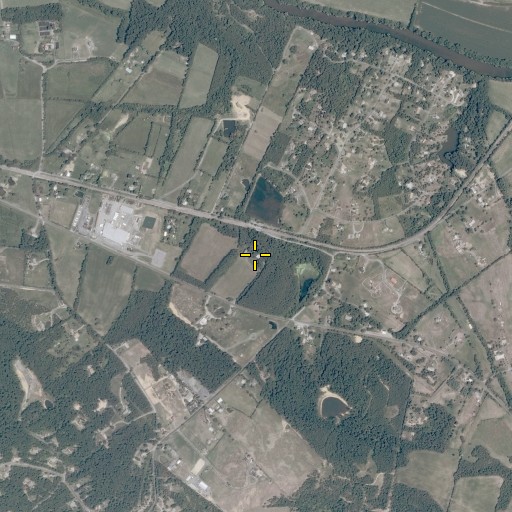 Aerial/Satellite Image of The Mint House, VA