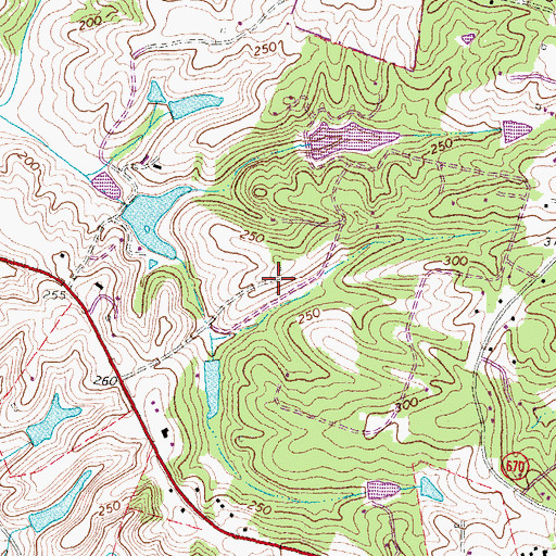 Topographic Map of The Forest, VA