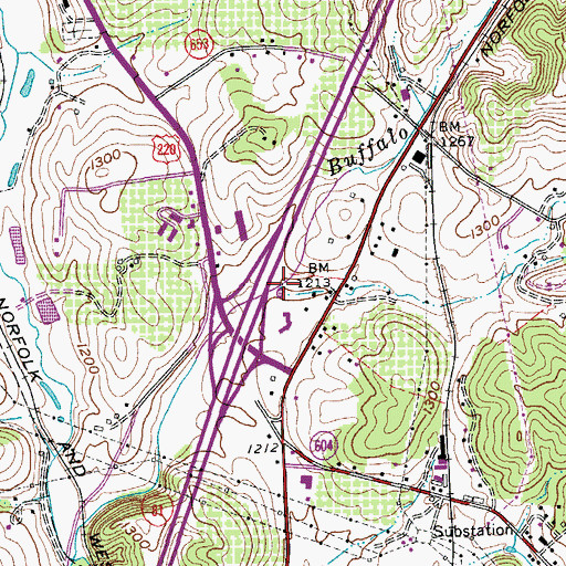 Topographic Map of Lemons Run, VA