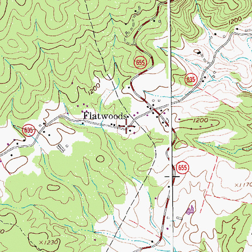 Topographic Map of Flatwoods School (historical), VA