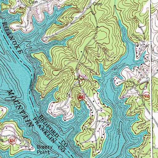 Topographic Map of Isle of Pines, VA