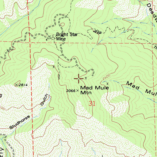 Topographic Map of Mad Mule Mine, CA