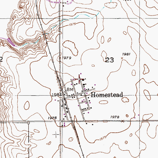 Topographic Map of Homestead High School (historical), MT