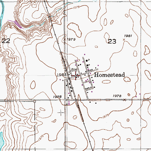 Topographic Map of Homestead, MT