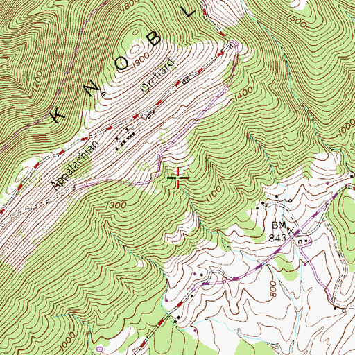Topographic Map of Pinto Orchard Spring, WV
