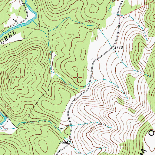 Topographic Map of Sallys Cabin Spring, WV