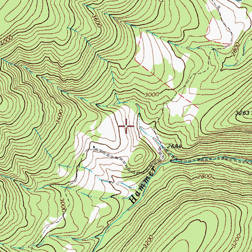 Topographic Map of Hammer Run Spring, WV