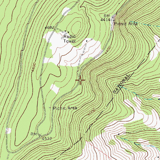 Topographic Map of Spruce Mountain Spring, WV