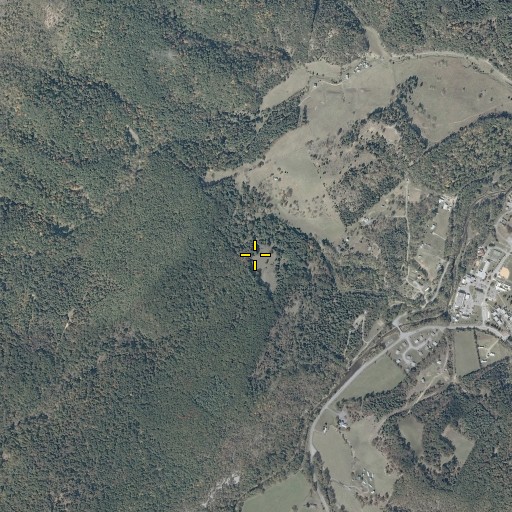 Aerial/Satellite Image of Falling Spring, WV