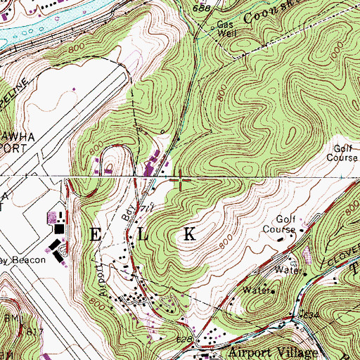 Topographic Map of Carl Woods Spring, WV