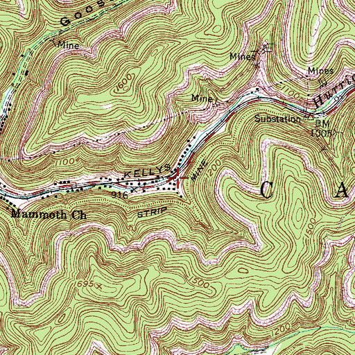 Topographic Map of Danny Beasley Spring, WV