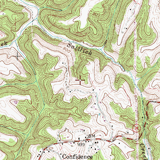 Topographic Map of Walter Hoffman Spring, WV