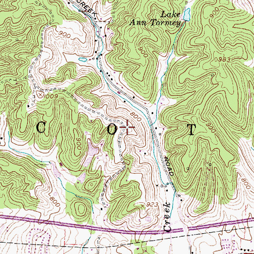 Topographic Map of Cottle Spring, WV
