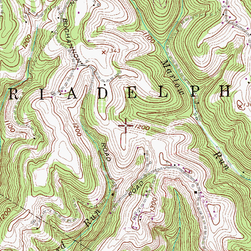 Topographic Map of Wallace Spring, WV