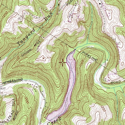 Topographic Map of Smith Spring, WV