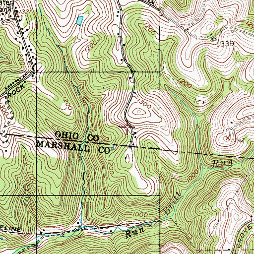 Topographic Map of Davis Spring, WV